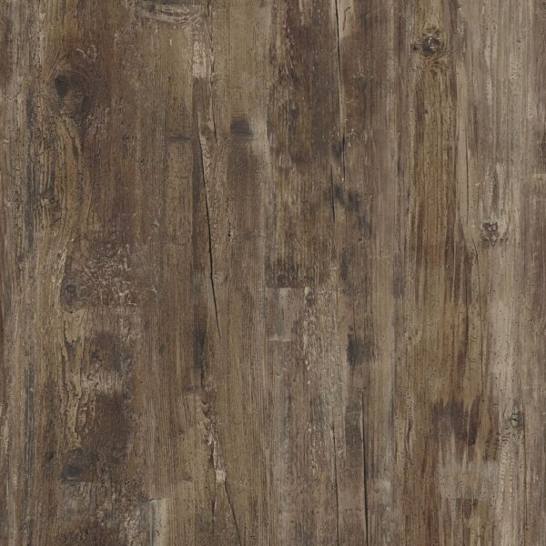 Roble Americano - Image 2