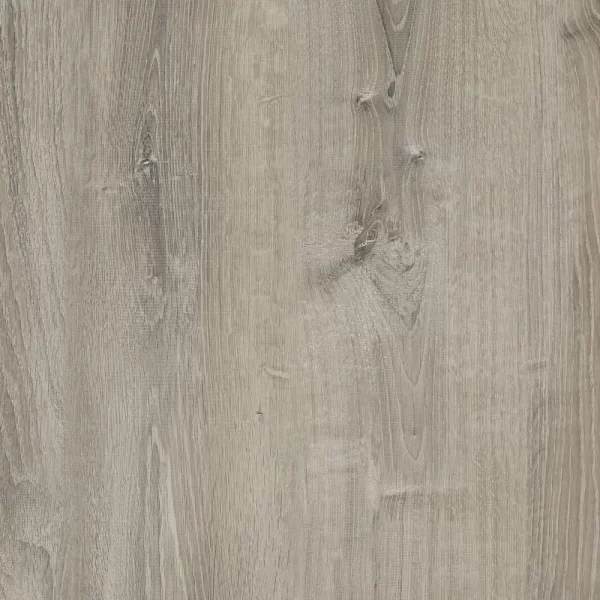 Roble Britanico - Image 2
