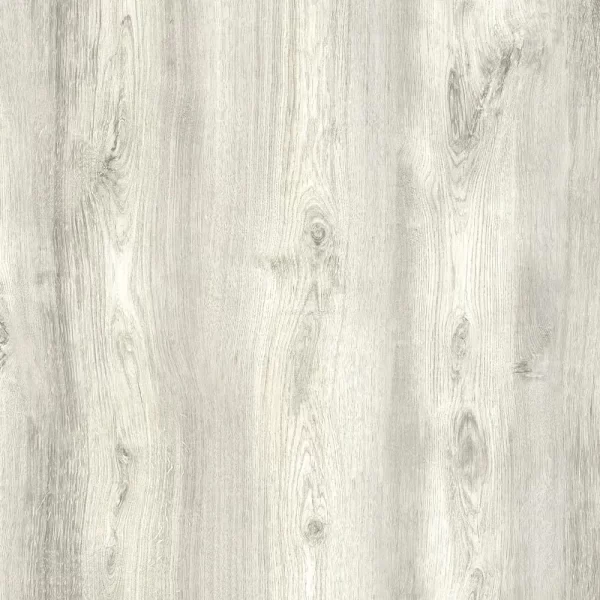 Roble Claro - Image 2
