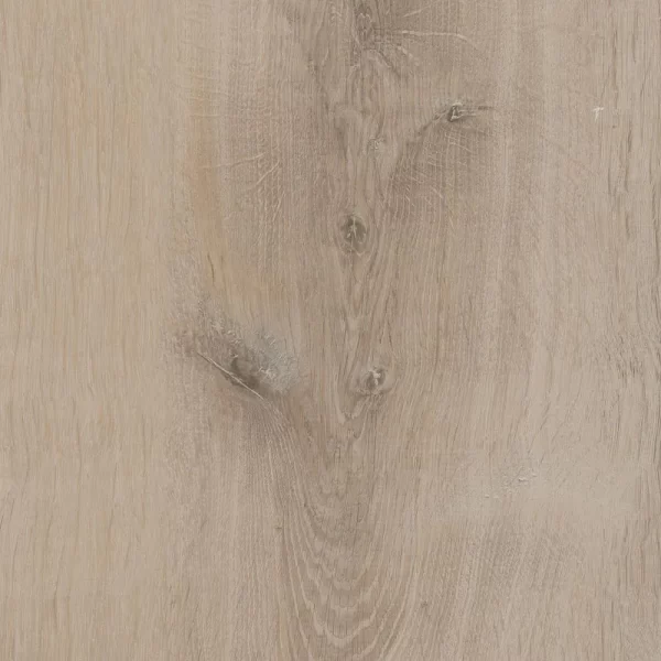Roble Fácil - Image 2