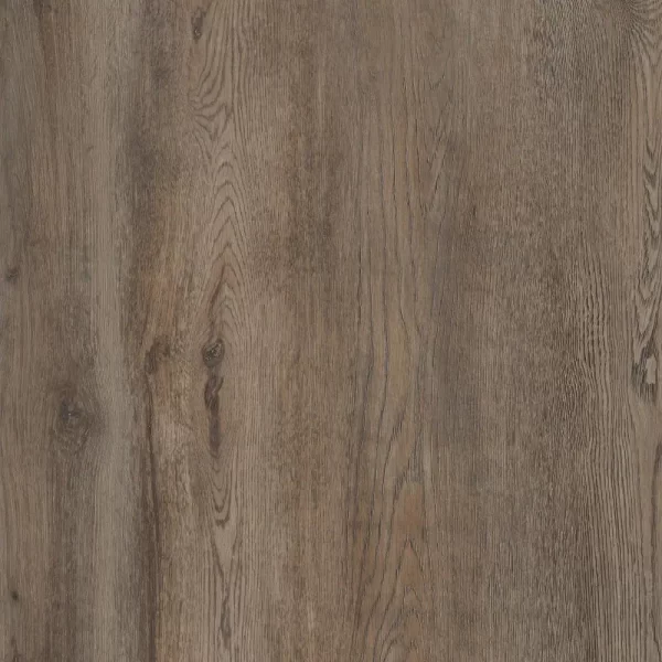 Roble Miel - Image 2